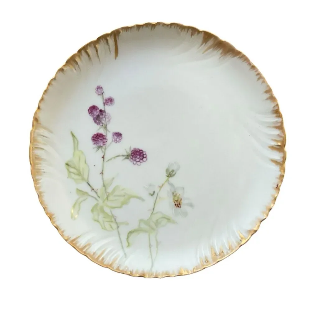 Haviland 1870-1890 Decorative Floral Plates France 7” Set of 2
